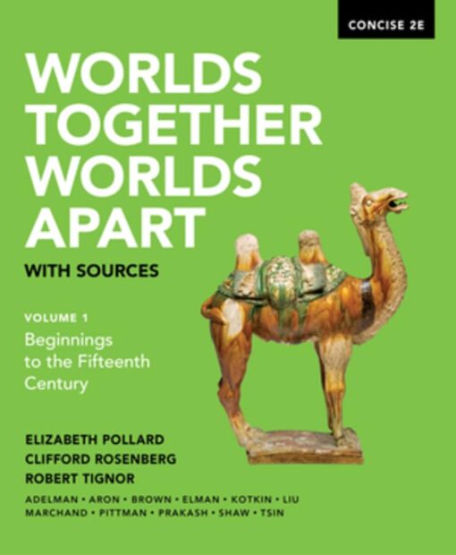 Worlds Together Worlds Apart With Sources Concise Second Edition