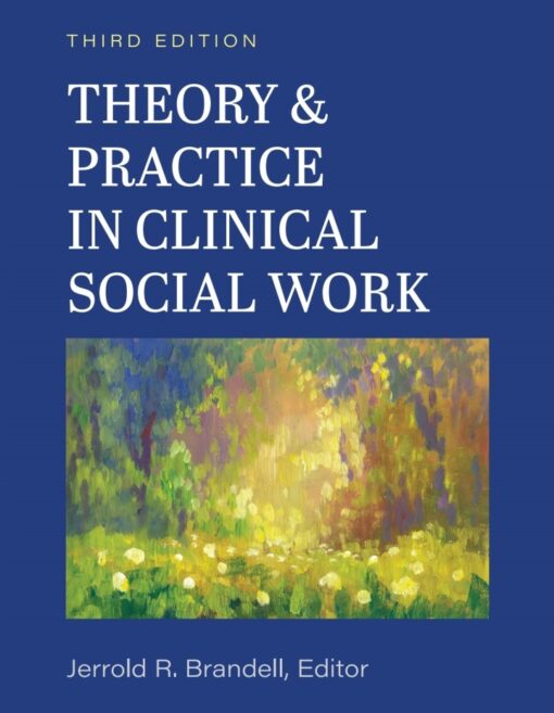 Theory And Practice In Clinical Social Work 3rd Edition