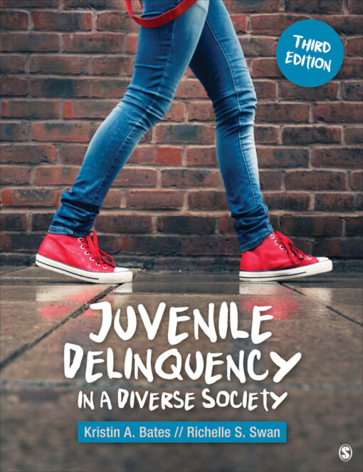 Juvenile Delinquency In A Diverse Society 3rd Edition