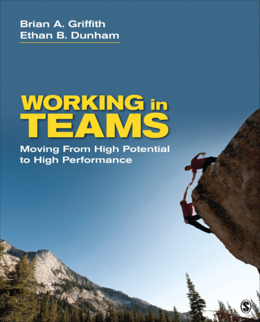 Working In Teams 1st Edition Moving From High Potential To High Performance