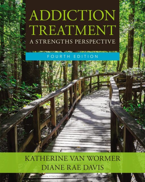 Addiction Treatment 4th Edition By Katherine Van Wormer