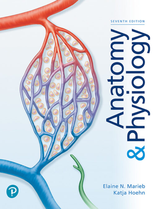 Anatomy Physiology 7th Edition By Elaine Marieb