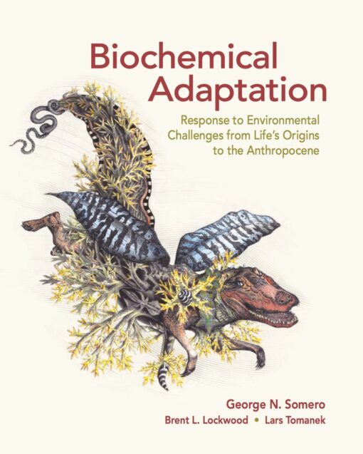 Biochemical Adaptation Response To Environmental Challenges From Lifes Origins To The Anthropocene