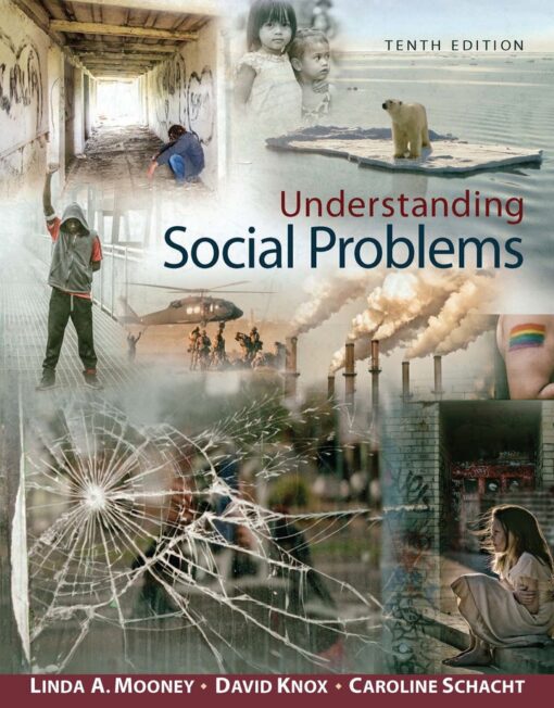 Understanding Social Problems 10th Edition