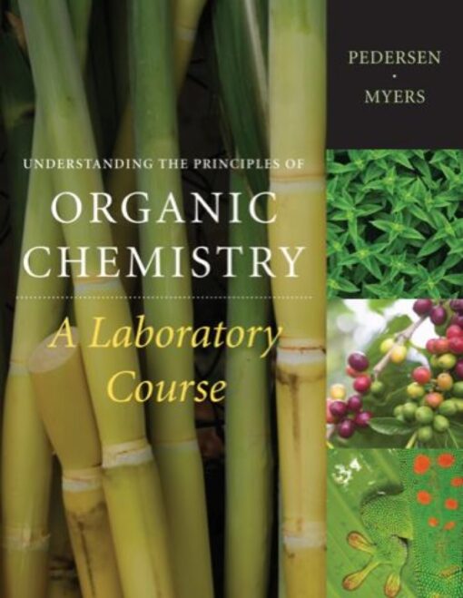 Understanding The Principles Of Organic Chemistry A Laboratory Course 1st Edition